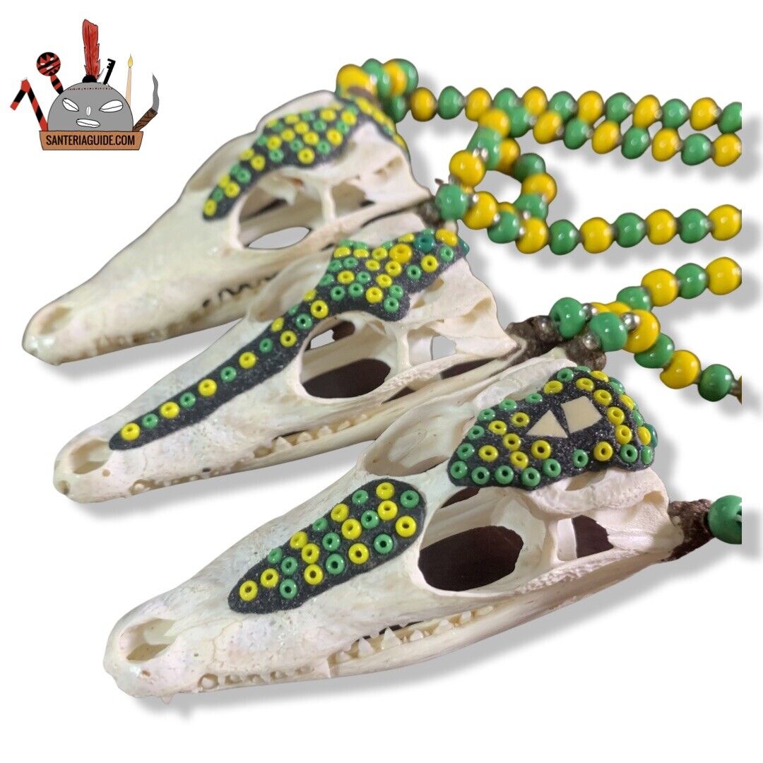 1 Collar De Ifa Orunmila Eleda  Cabeza de  Crocodilo